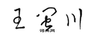 駱恆光王閩川草書個性簽名怎么寫