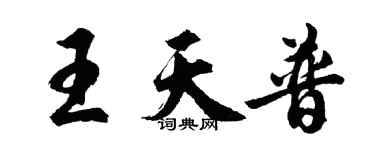 胡問遂王天普行書個性簽名怎么寫