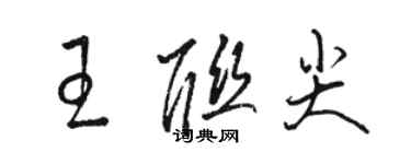 駱恆光王聯尖草書個性簽名怎么寫