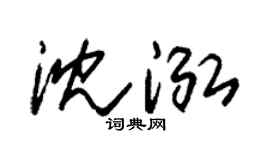 朱錫榮沈泓草書個性簽名怎么寫