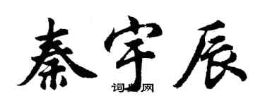 胡問遂秦宇辰行書個性簽名怎么寫