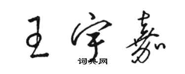 駱恆光王宇嘉草書個性簽名怎么寫