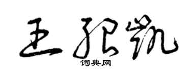 曾慶福王紹凱草書個性簽名怎么寫