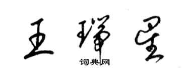 梁錦英王瑞星草書個性簽名怎么寫