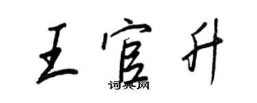 王正良王官升行書個性簽名怎么寫