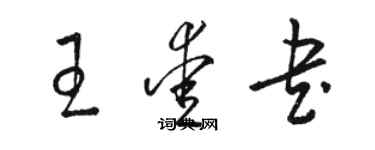 駱恆光王愛書草書個性簽名怎么寫