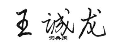 駱恆光王誠龍行書個性簽名怎么寫