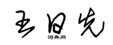 朱錫榮王日先草書個性簽名怎么寫