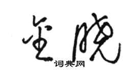 駱恆光金曉草書個性簽名怎么寫