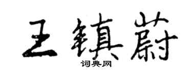曾慶福王鎮蔚行書個性簽名怎么寫