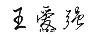 駱恆光王愛強行書個性簽名怎么寫