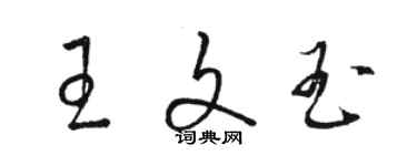 駱恆光王文玉草書個性簽名怎么寫