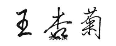 駱恆光王杏菊行書個性簽名怎么寫