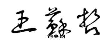 曾慶福王蘇哲草書個性簽名怎么寫