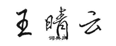駱恆光王晴雲行書個性簽名怎么寫