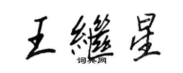 王正良王繼星行書個性簽名怎么寫