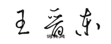 駱恆光王晉東草書個性簽名怎么寫