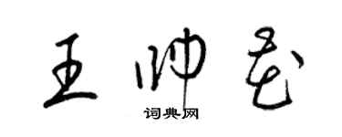 梁錦英王帥花草書個性簽名怎么寫