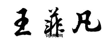 胡問遂王菲凡行書個性簽名怎么寫