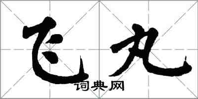 翁闓運飛丸楷書怎么寫