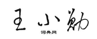 駱恆光王小勛草書個性簽名怎么寫