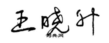 曾慶福王曉升草書個性簽名怎么寫