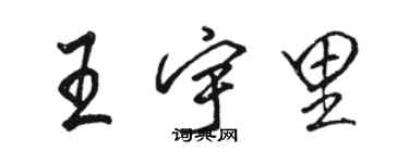 駱恆光王宇里行書個性簽名怎么寫