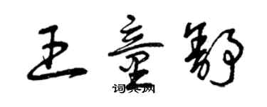 曾慶福王童舒草書個性簽名怎么寫