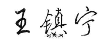 駱恆光王鎮寧行書個性簽名怎么寫