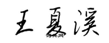 王正良王夏溪行書個性簽名怎么寫