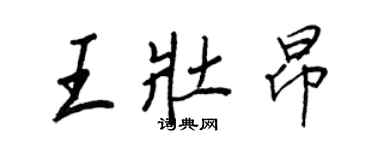 王正良王壯昂行書個性簽名怎么寫