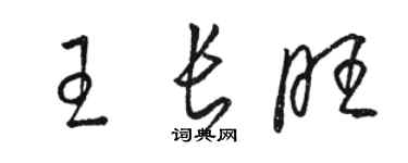 駱恆光王長旺草書個性簽名怎么寫