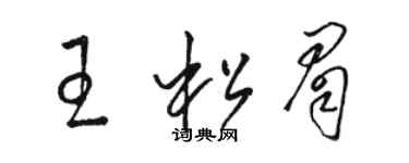 駱恆光王松眉草書個性簽名怎么寫
