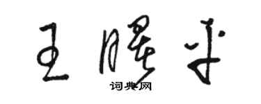 駱恆光王曙平草書個性簽名怎么寫