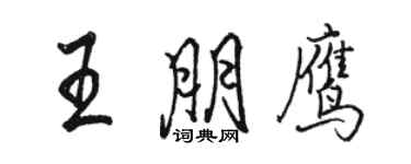 駱恆光王朋鷹行書個性簽名怎么寫