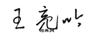 駱恆光王亮吟草書個性簽名怎么寫