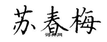 丁謙蘇春梅楷書個性簽名怎么寫