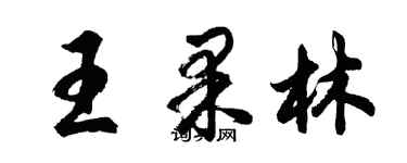 胡問遂王果林行書個性簽名怎么寫