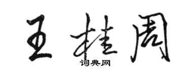 駱恆光王桂周行書個性簽名怎么寫