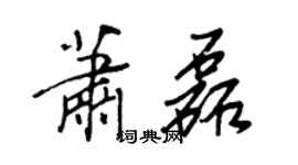 王正良蕭磊行書個性簽名怎么寫