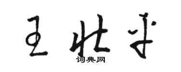 駱恆光王壯平草書個性簽名怎么寫