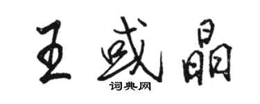 駱恆光王或晶行書個性簽名怎么寫