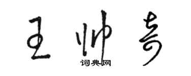 駱恆光王帥奇草書個性簽名怎么寫