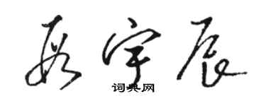 駱恆光段宇辰草書個性簽名怎么寫