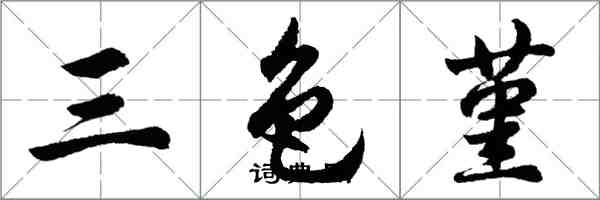 胡問遂三色堇行書怎么寫