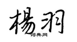 王正良楊羽行書個性簽名怎么寫