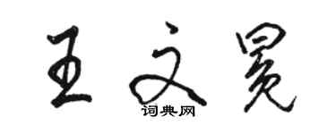 駱恆光王文冕行書個性簽名怎么寫