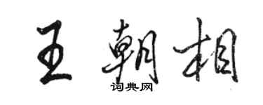 駱恆光王朝相行書個性簽名怎么寫