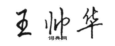 駱恆光王帥華行書個性簽名怎么寫