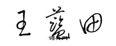 駱恆光王藍田草書個性簽名怎么寫